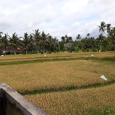 Umah Dangin Guest House Ubud Eksteriør bilde