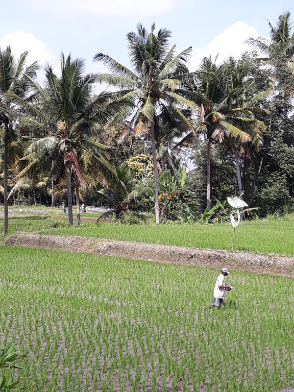 Umah Dangin Guest House Ubud Eksteriør bilde
